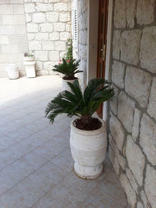 Villa Sweet Home Mokosica Exterior photo